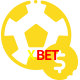Aposte em esportes do mundo todo no 1XBET!